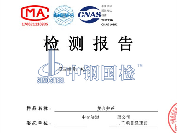 復合井蓋檢測報告圖